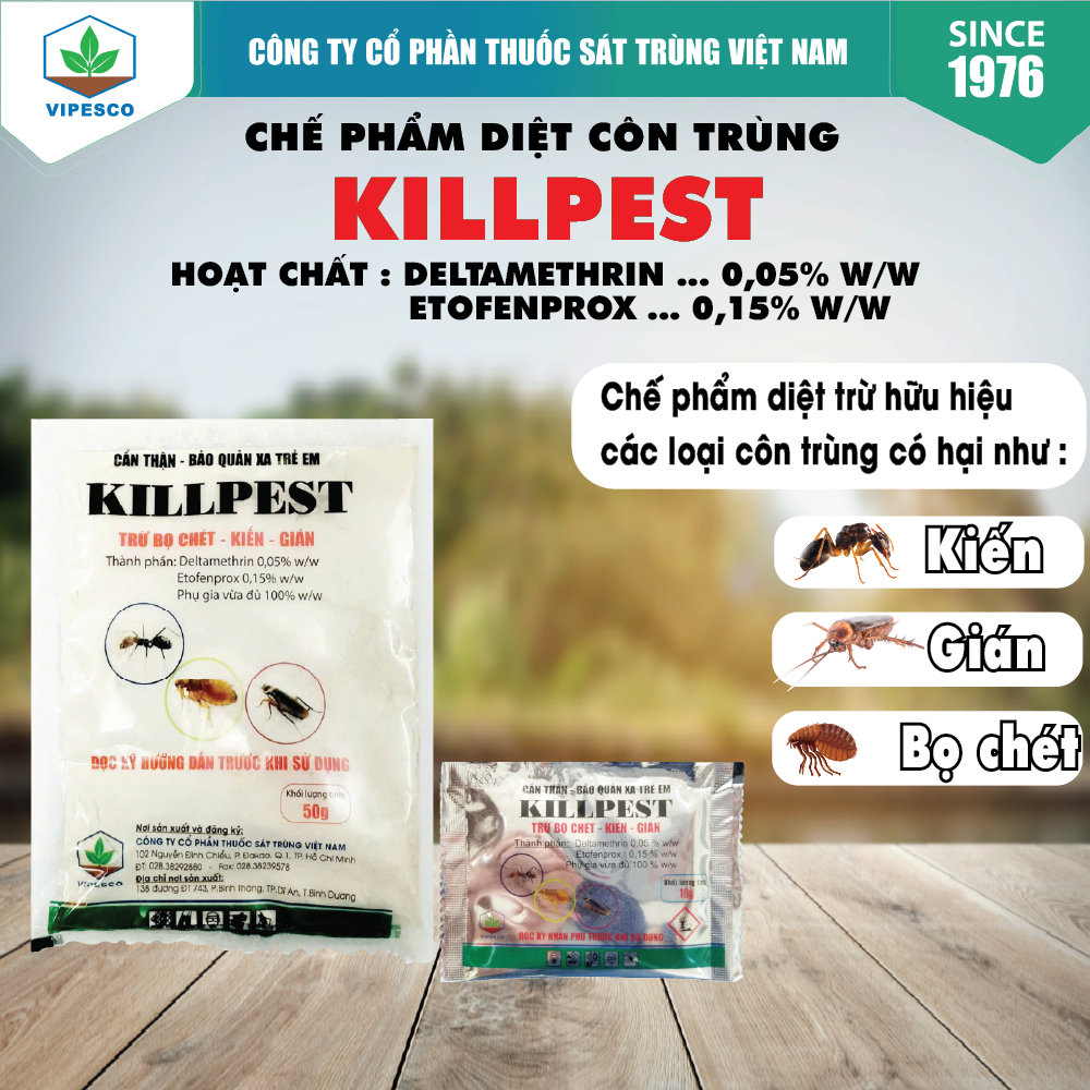 KILLPEST-50GR - DIỆT TRỪ BỌ CHÉT, KIẾN, GIÁN
