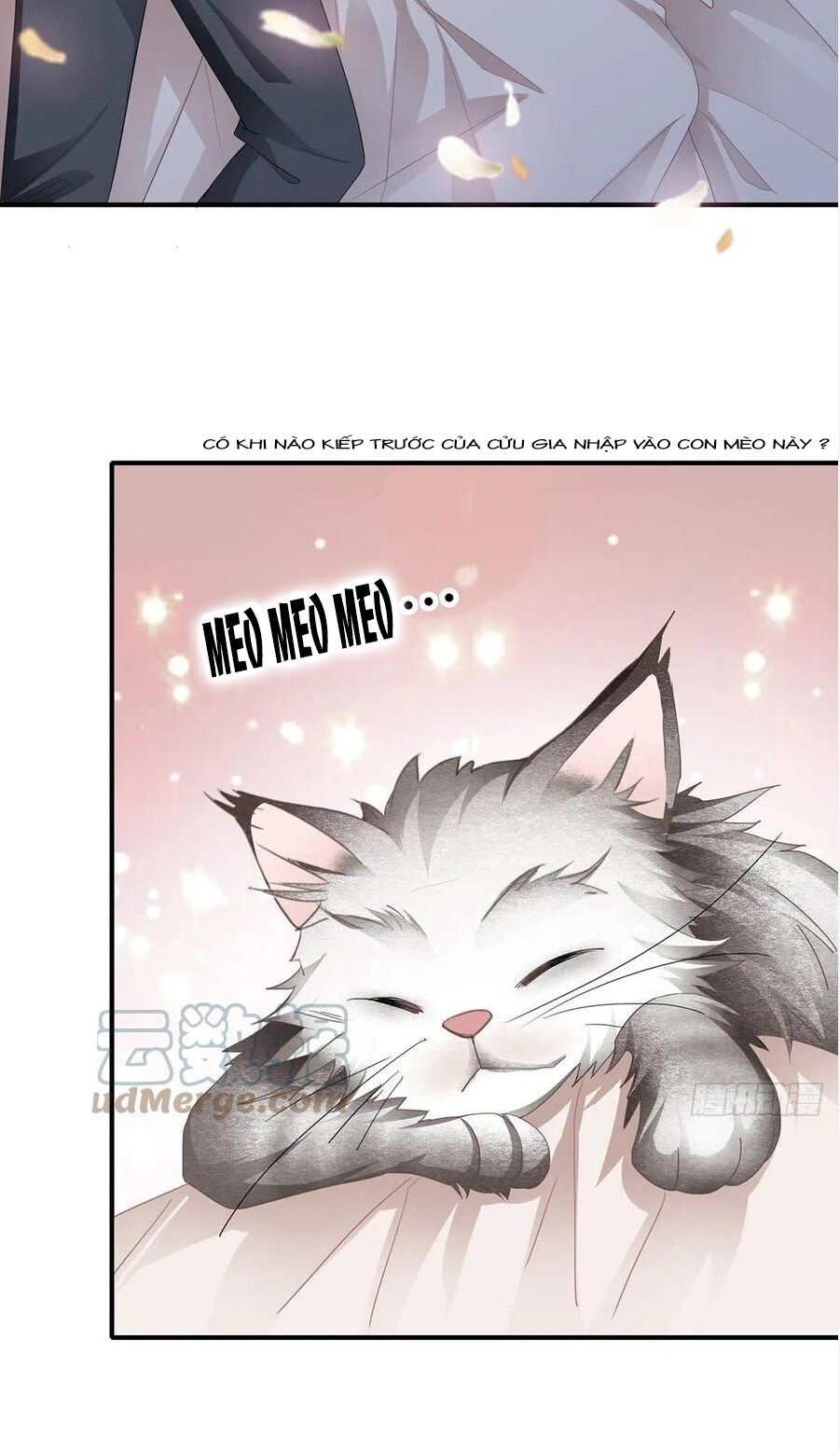 bạo quân ái nhân chapter 68 2