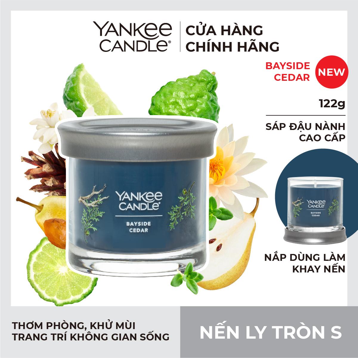 Nến ly tròn sáp đậu nành Yankee Candle size M (369g) - Balsam &amp; Cedar