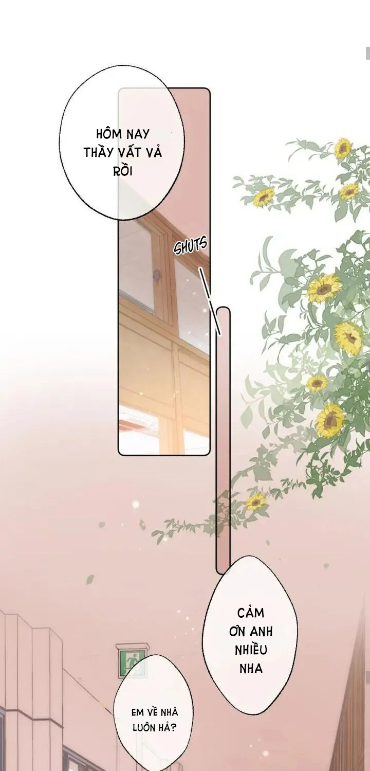vụng trộm không thể giấu - mối tình thầm kín chapter 6 27