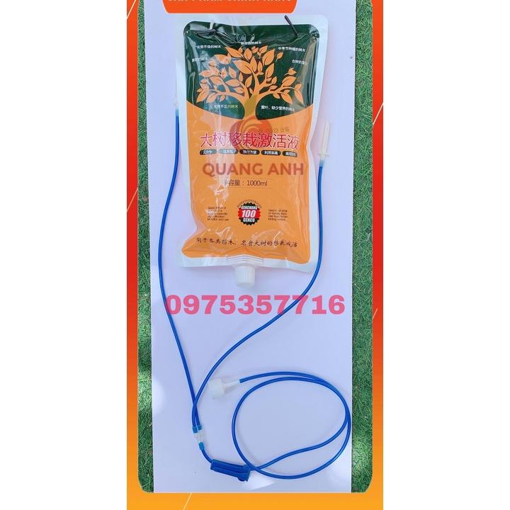 DỊCH TRUYỀN - DINH DƯỠNG TRÊN CHO CÂY - DỊCH TRUYỀN CÂY CÔNG TRÌNH