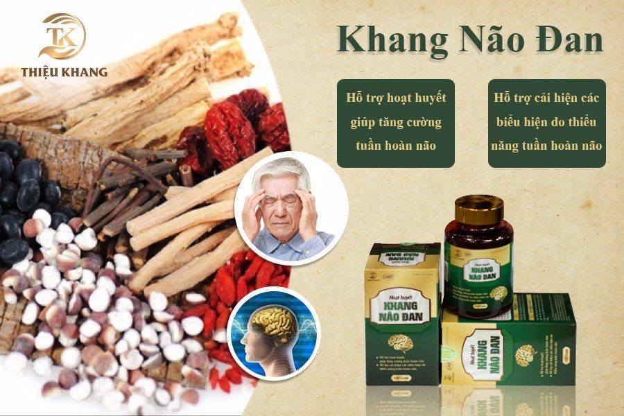 Thực phẩm bảo vệ sức khỏe KHANG NÃO ĐAN (Hộp 100g)