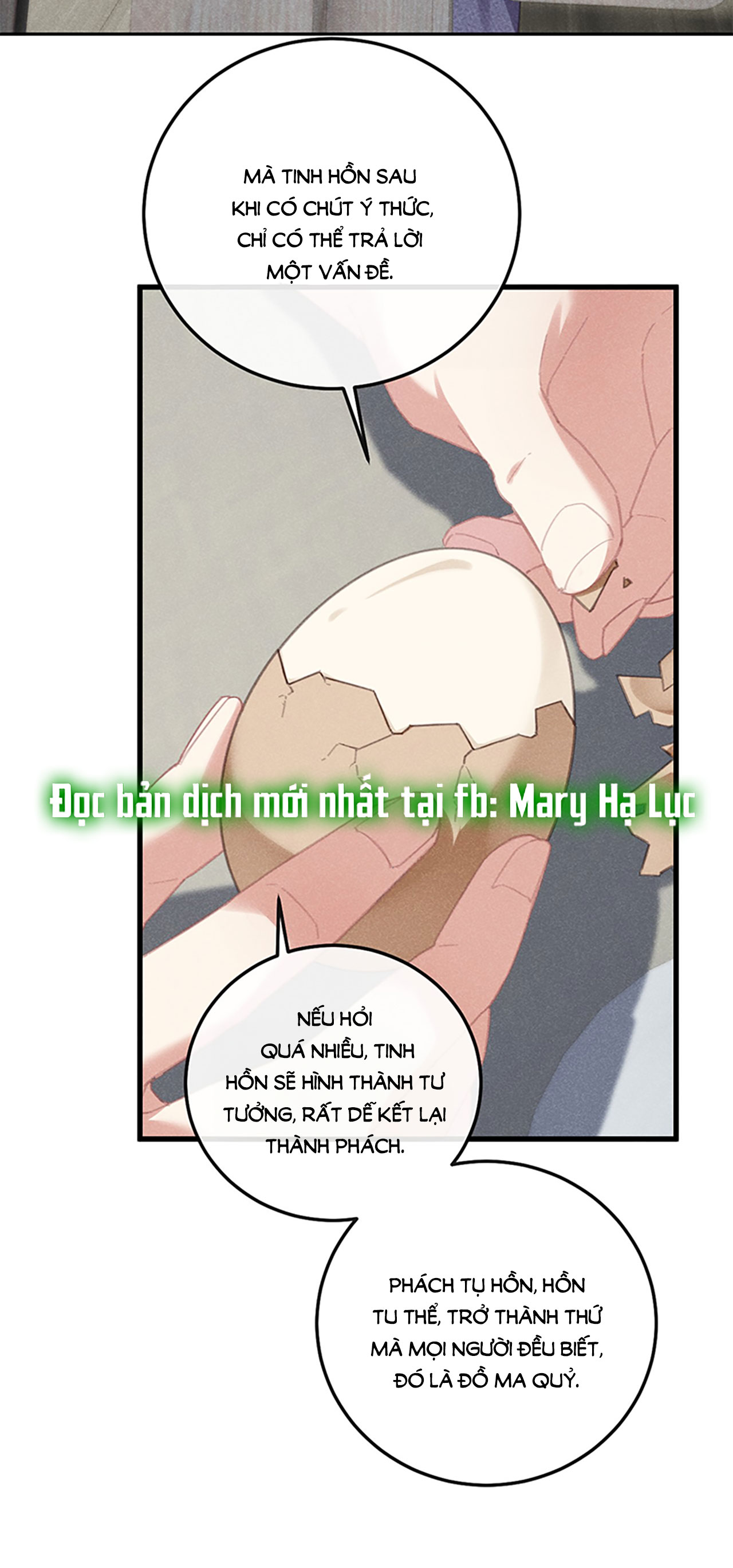 vấn quan chapter 5 28