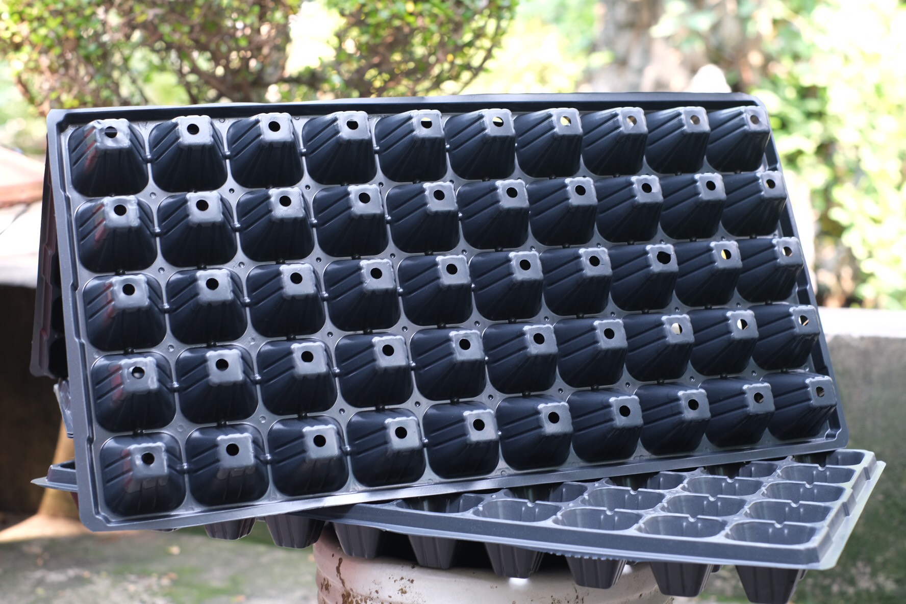 Khay Ươm Hạt Giống Ropot 50 lỗ - Combo 10 cái