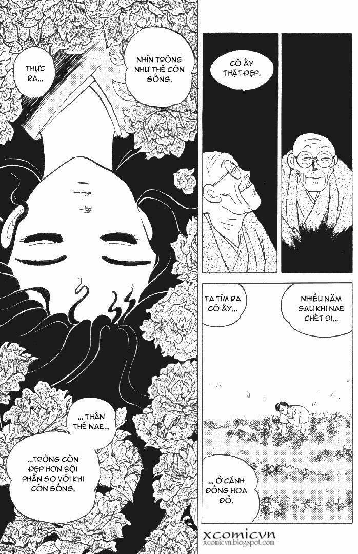 lời nguyền bất tử chapter 14 4