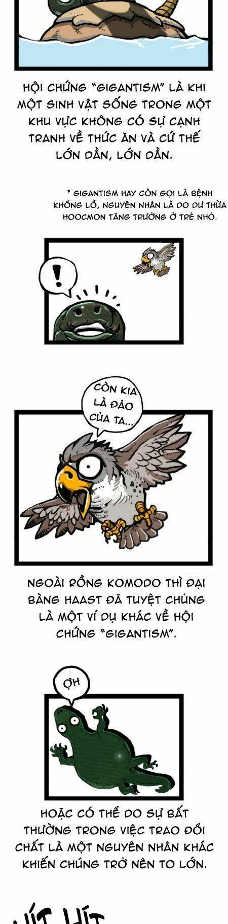 earth, human, and animal chapter 26 10