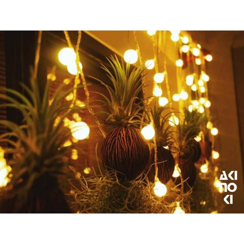 Đèn Trang Trí Dây Đèn Led Trang Trí Trái Cherry Ball Bóng Đục Nhỏ