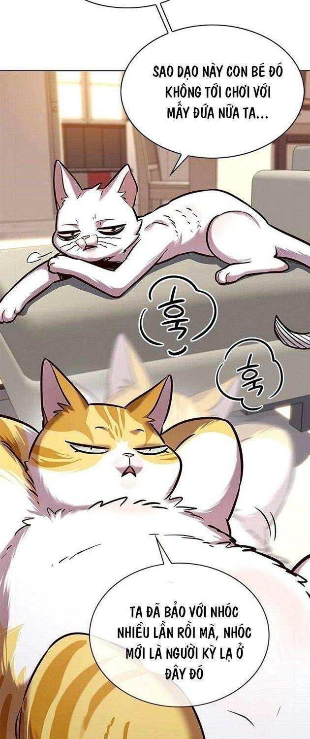 biến thân thành mèo chapter 225 41
