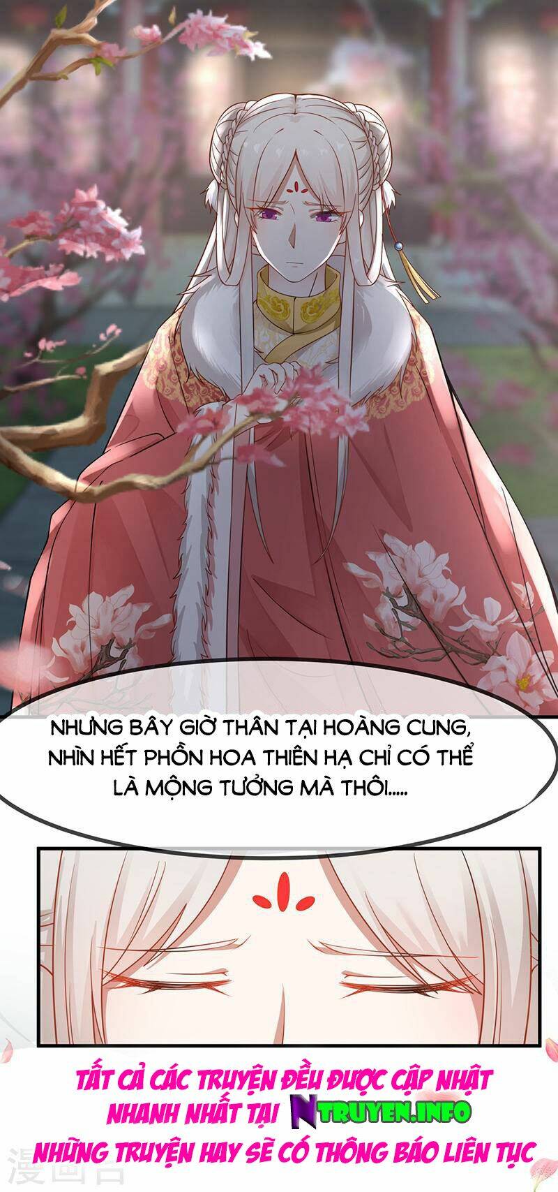 thanh cung chi ninh mặc vô thanh chapter 23 8