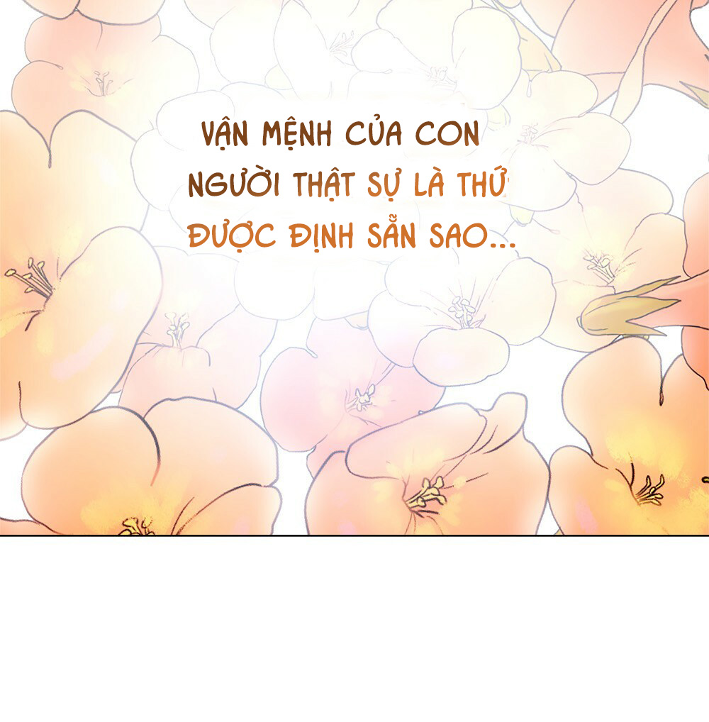 đăng tiêu hoa chapter 11 62