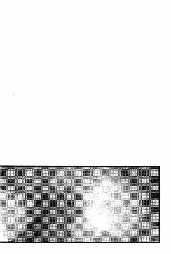 kirara - hồn ma quyến rũ chapter 23 4