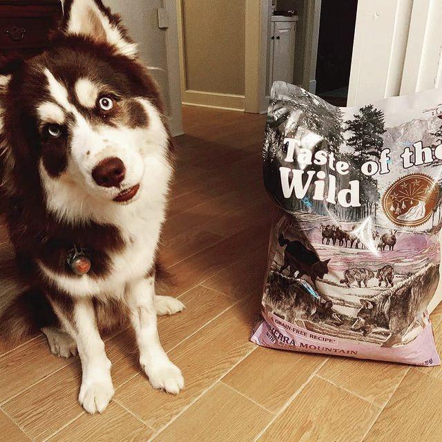 Thức Ăn Cho Chó Husky Taste Of The Wild Bao 2kg - Thức Ăn Cho Chó, Vị Thịt Cừu, Trái Cây Rau Củ Quả