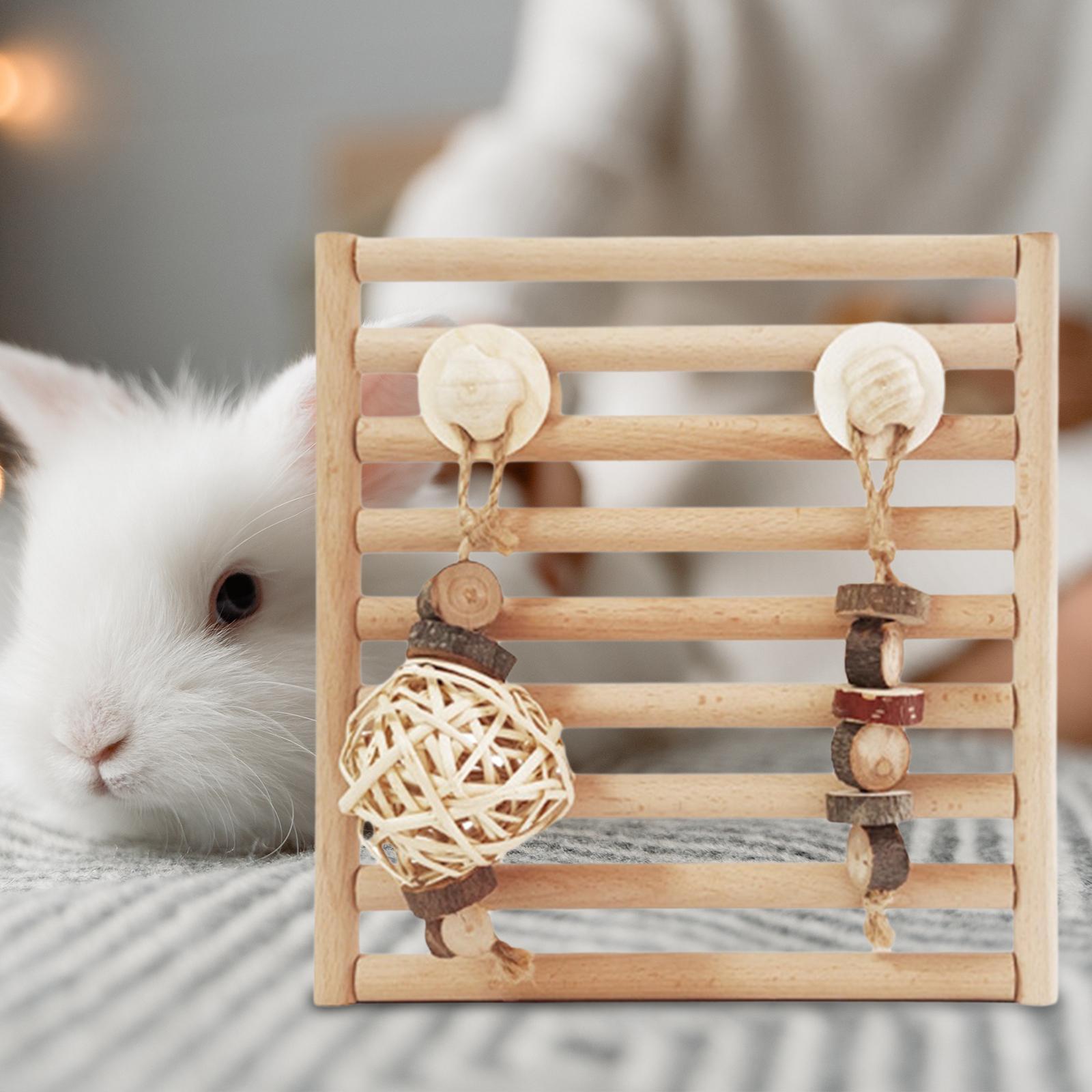 Rabbit Chew Toys, Wooden Doors, Exercise Biting Hamster Chew Toys for Bunny Small Animals