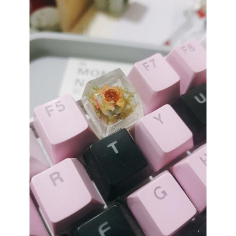 Keycap 1u danhf cho Resin hoa Glixia Brazil - Nút keycap bàn phím cơ trong hình hoa Glixia Brazil