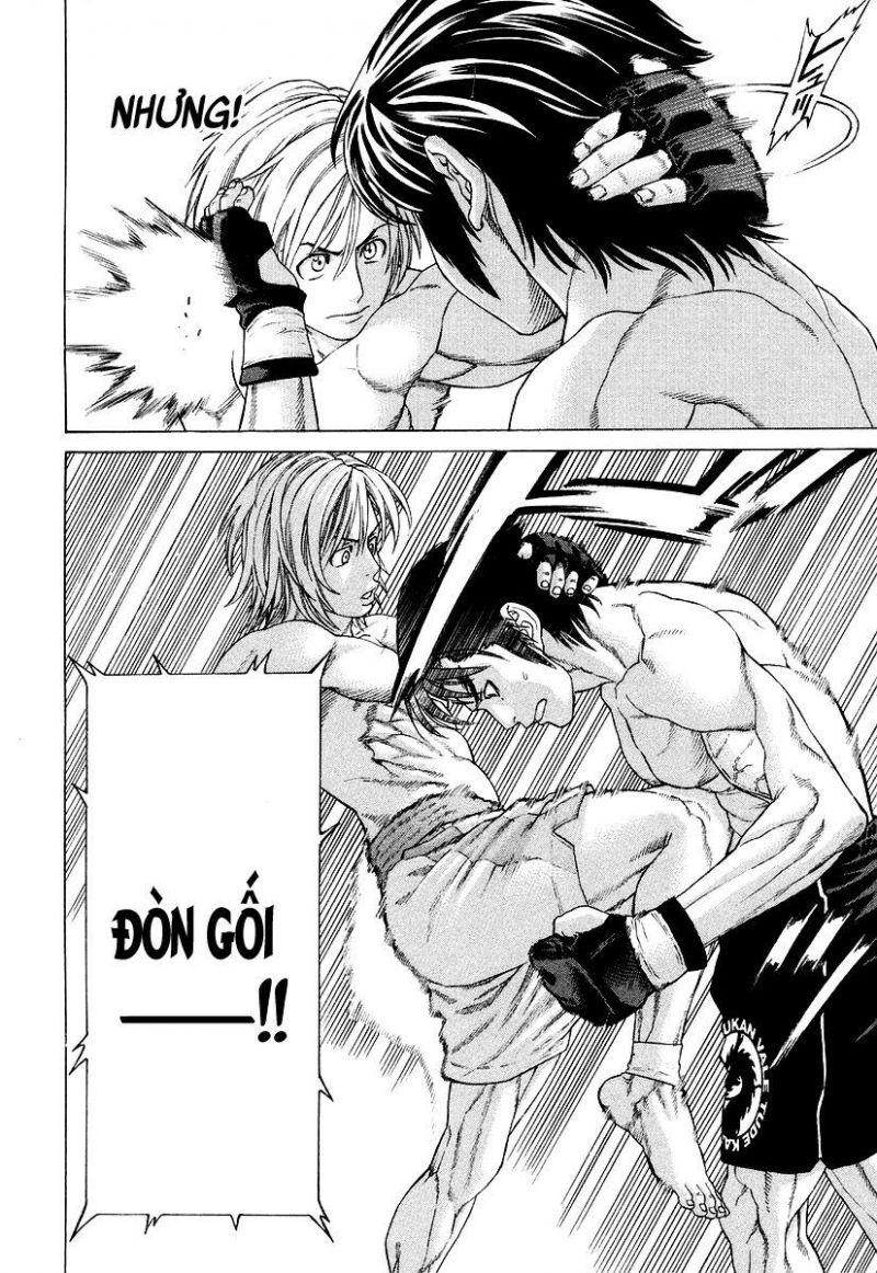 karate shoukoushi kohinata minoru chapter 209 11