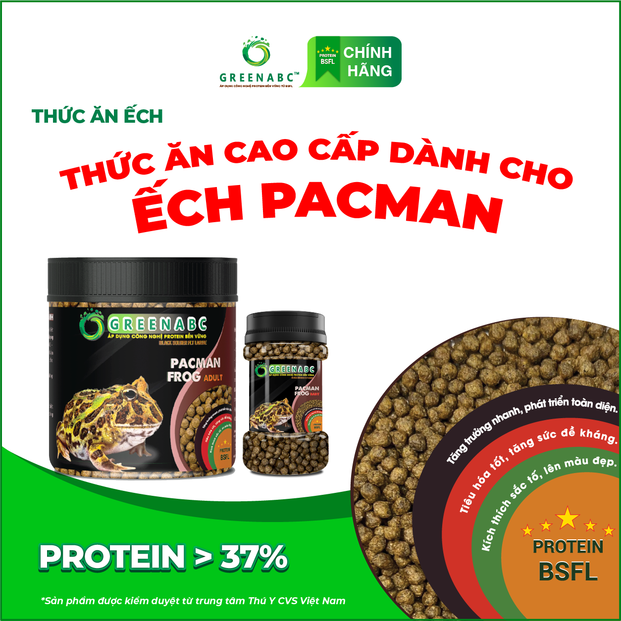 Thức ăn Ếch Pacman GREENABC – Pacman Frog – Hàm lượng protein 37% giúp tiêu hóa tốt, tăng kích thước, lên màu đẹp, ăn ngon – Hộp 50g và 230g