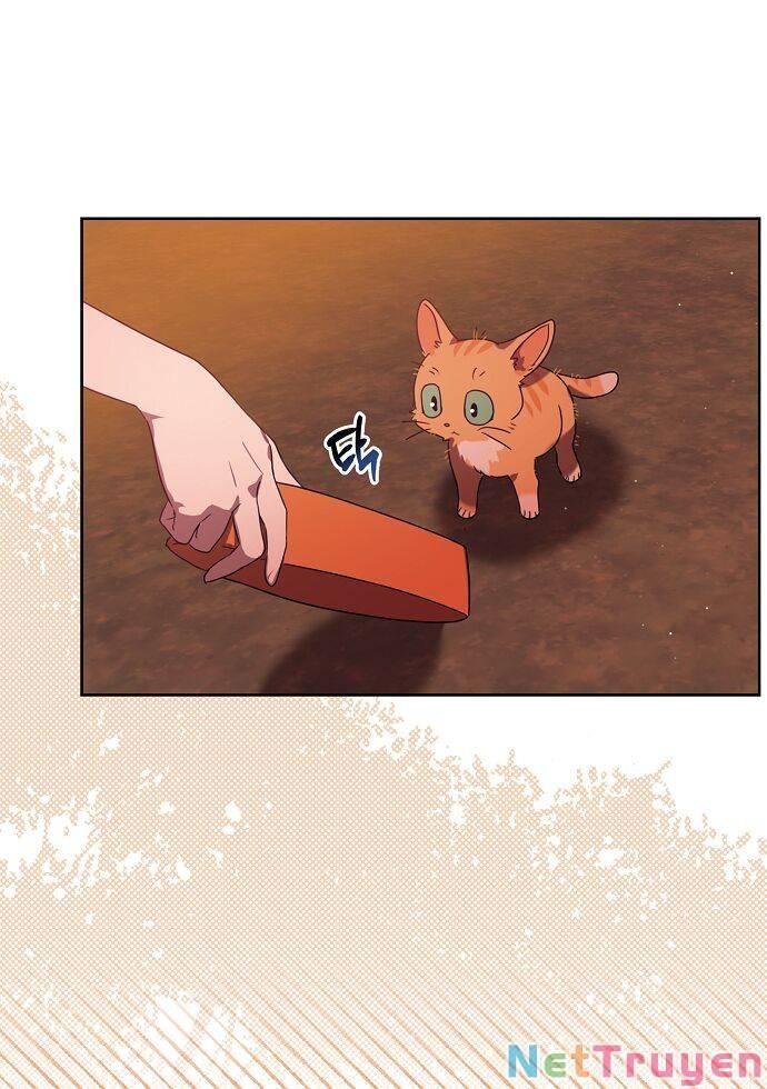 cuộc sống giản dị của người độc thân bị bỏ rơi chapter 4 56