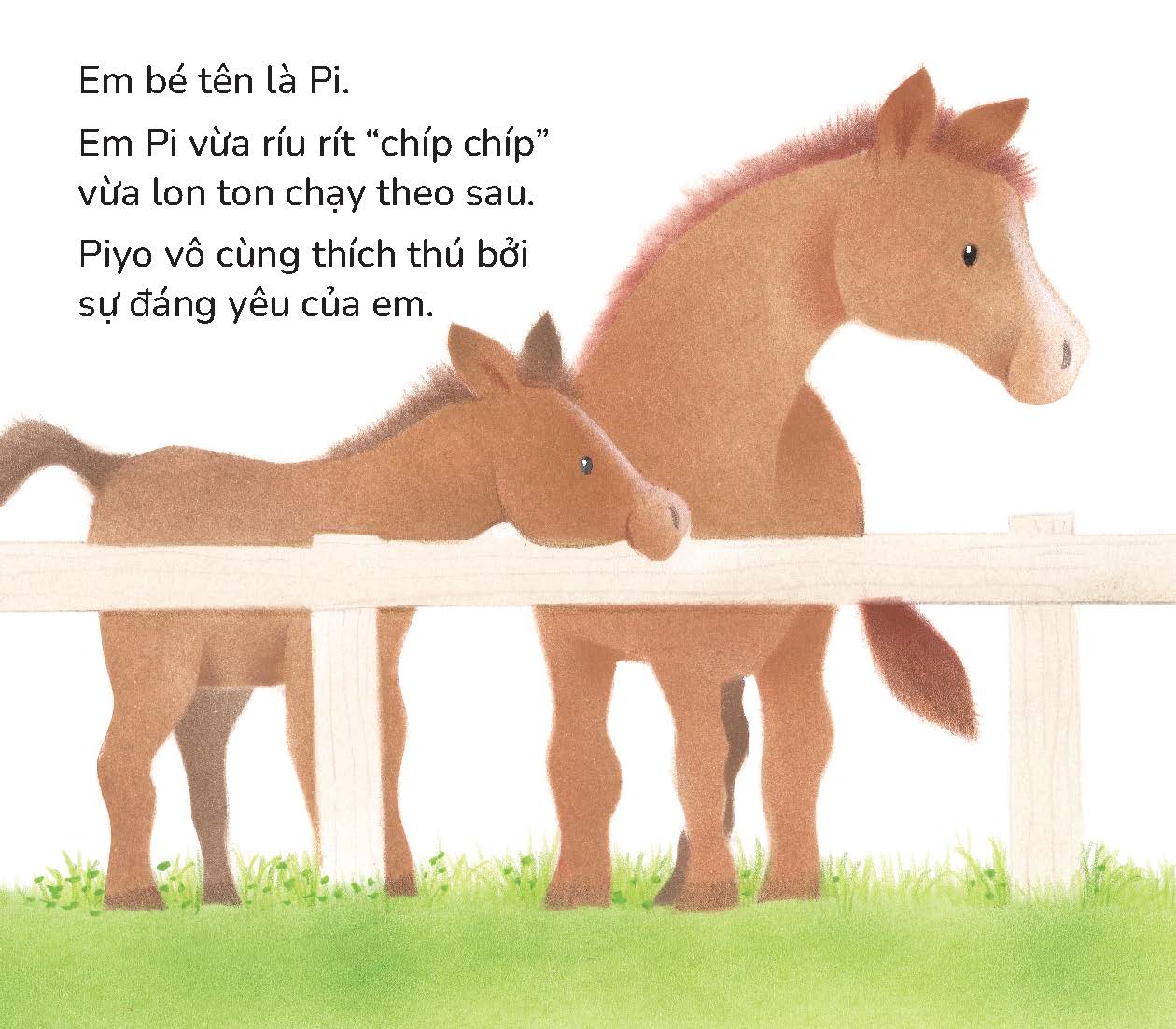 Gà con Piyo và Em gái - Sách tranh Pop-up