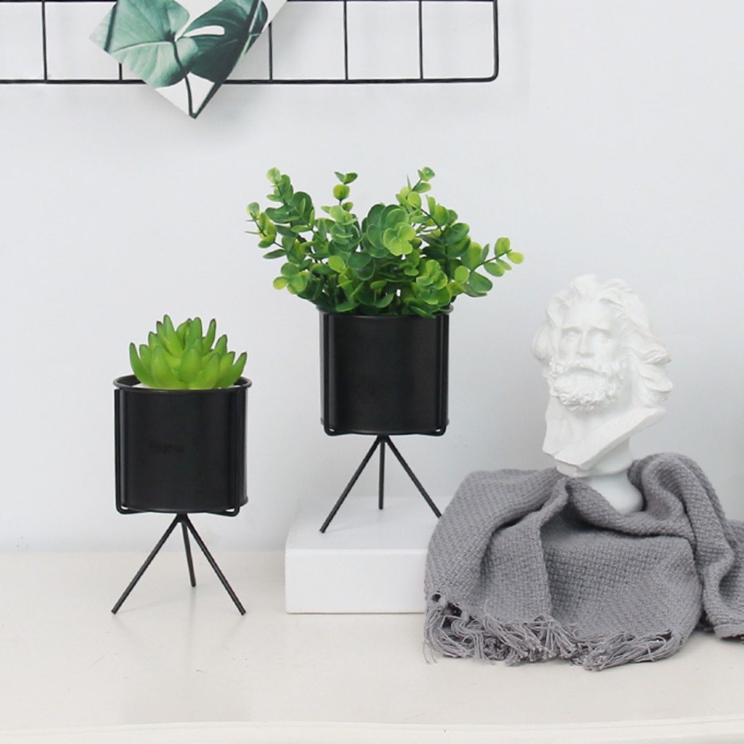 Chậu trồng cây sen đá, xương rồng, cẩm nhung – Hộp trồng cây mini để bàn
