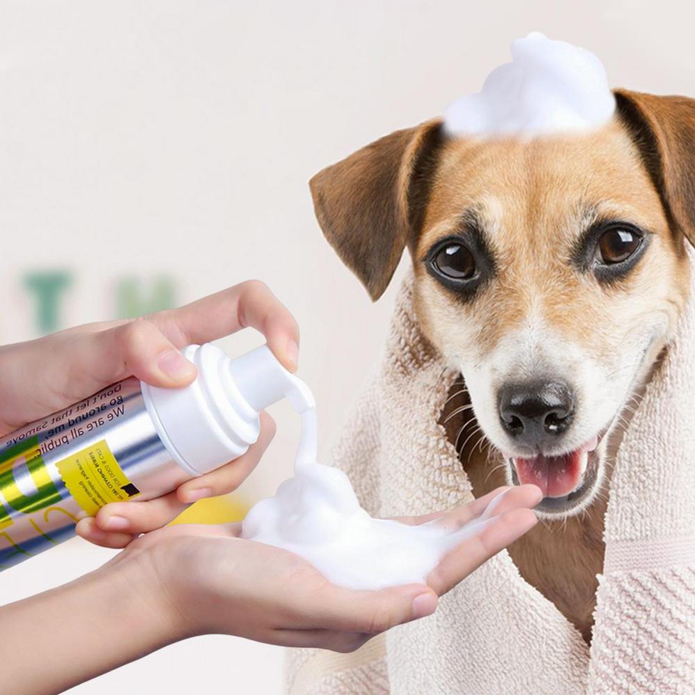 Dầu Gội Khô DRYCLEAN️ Chó Mèo Pet Dry Shampoo, Dog Dry Shampoo Safe & Healthy 200ML