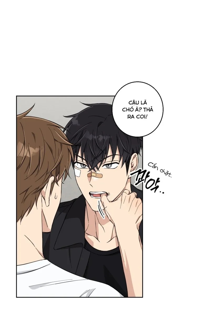 hãy bảo vệ tình yêu thuần khiết! chapter 6 65