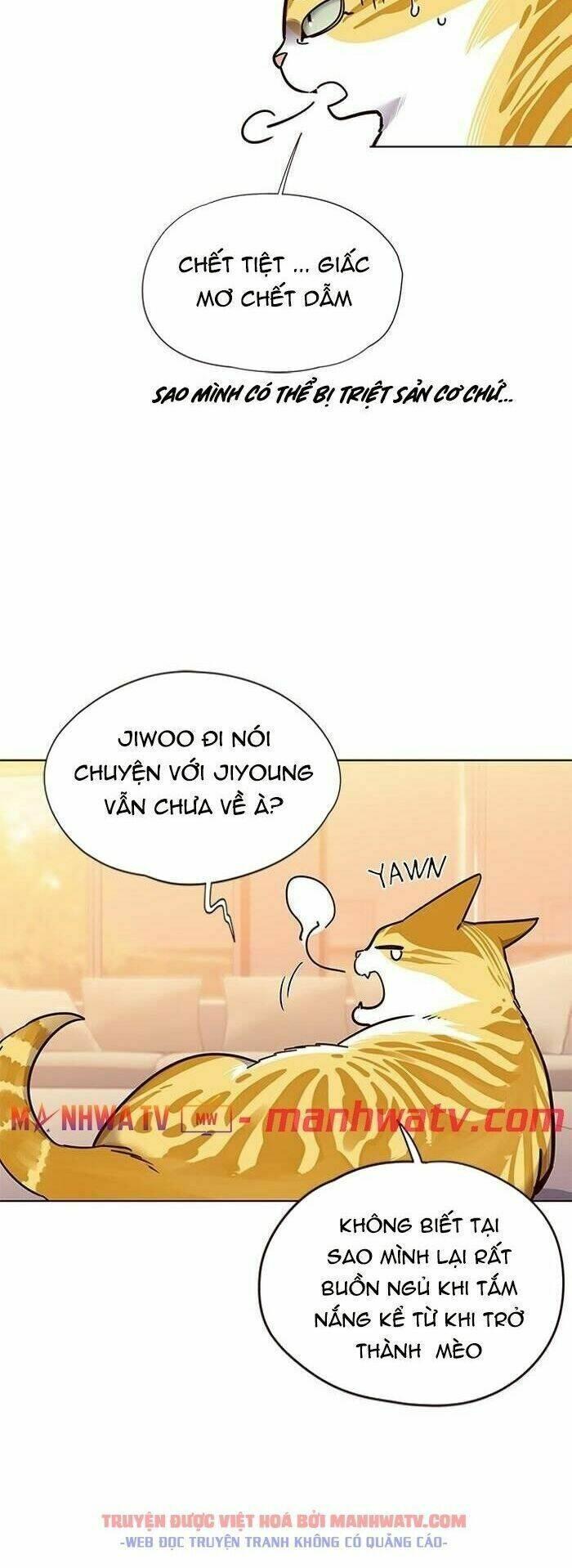 biến thân thành mèo chapter 56 14