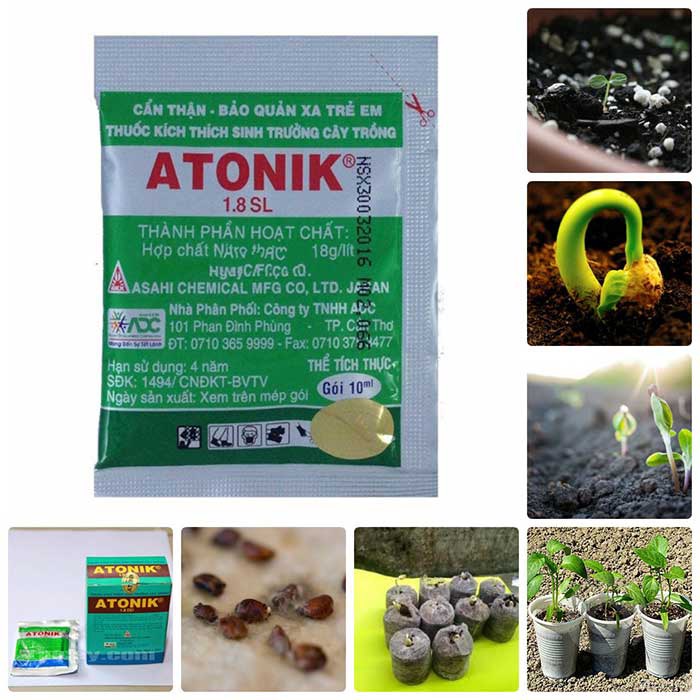 Atonik kích thích sinh trưởng cây trồng, phân bón kích thích sinh trưởng cho hoa hồng, hoa lan, cây bonsai. Hiệu quả cực cao