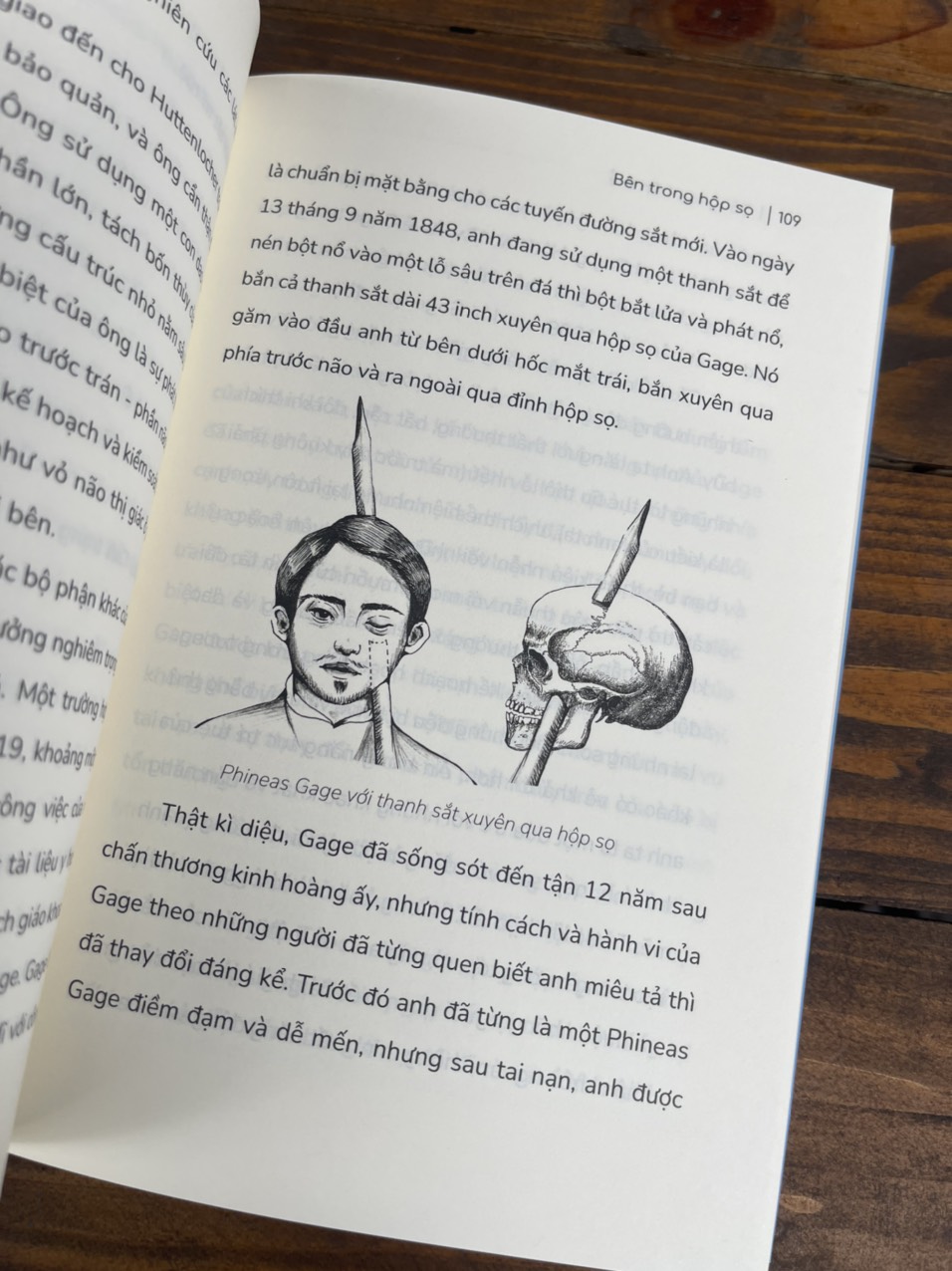 SÁNG TẠO BẢN THỂ - Giải mã bộ não tuổi teen - Sarah-Jayne Blakemore – Việt Khánh dịch - Nxb Kim Đồng