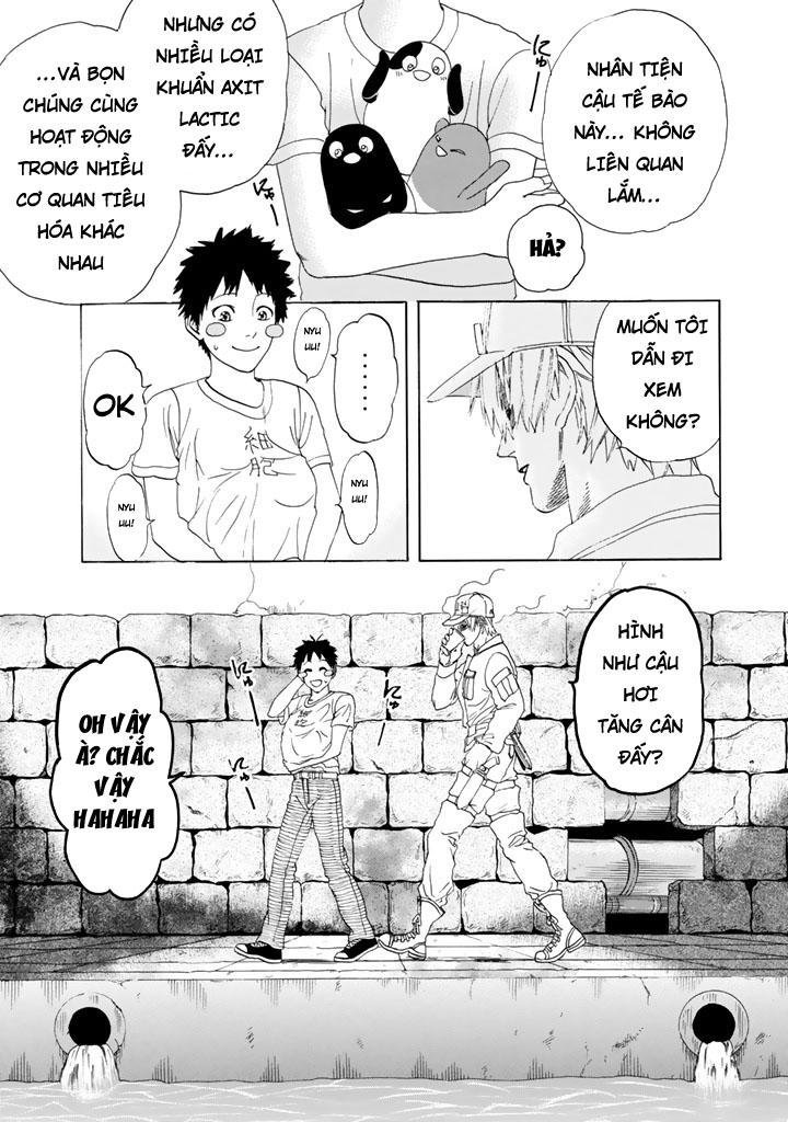 hataraku saibou! chapter 20 44