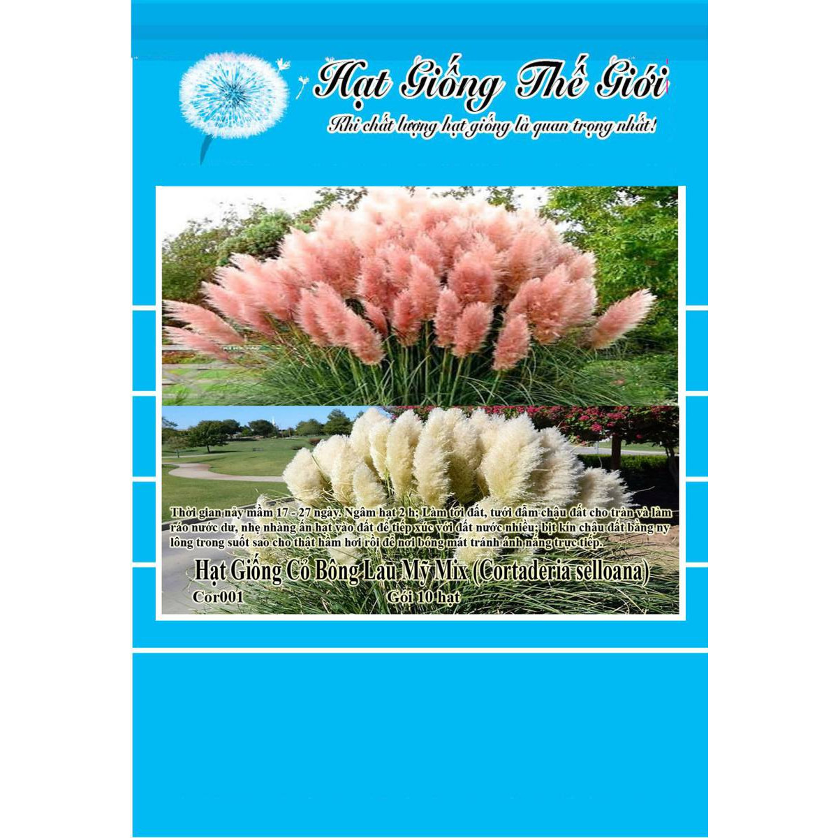 10h Hạt Giống Cỏ Bông Lau Mỹ - Mix Hồng Trắng