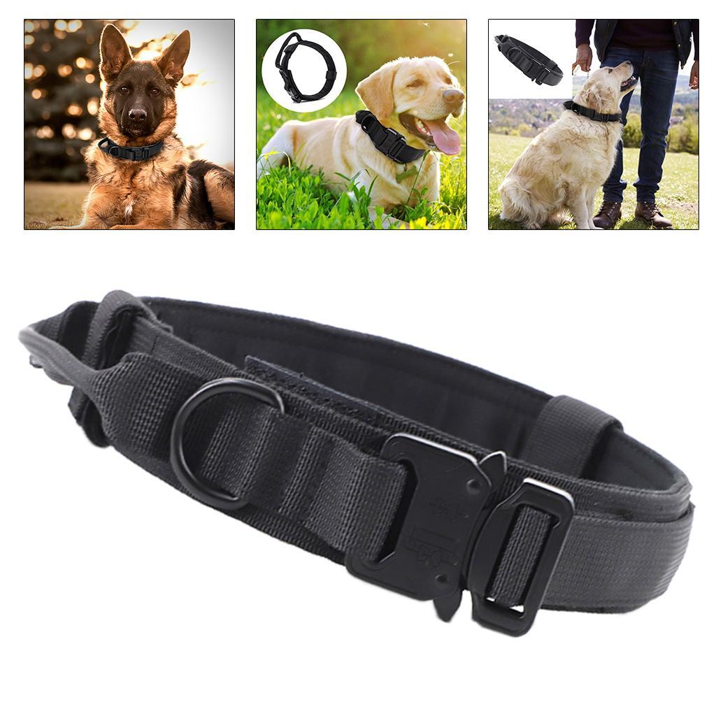 Dog Collar Classic Solid Colors with D-Ring for Medium Large Dogs Black