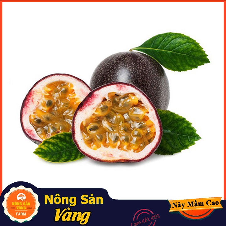 Hạt giống Chanh Dây ( Gói 50 Hạt ) - Nông Sản Vàng