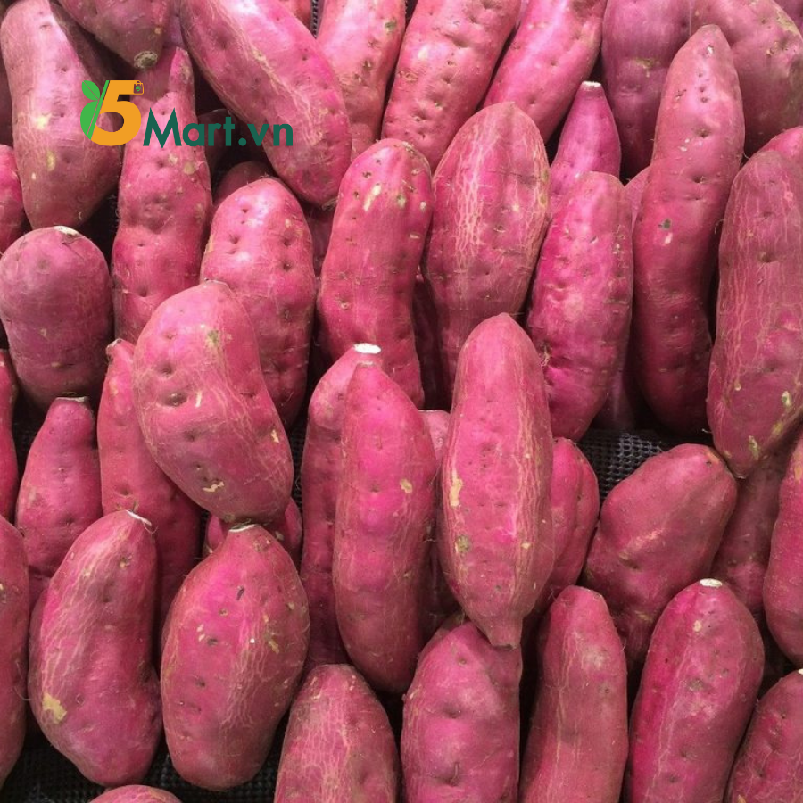 Khoai lang