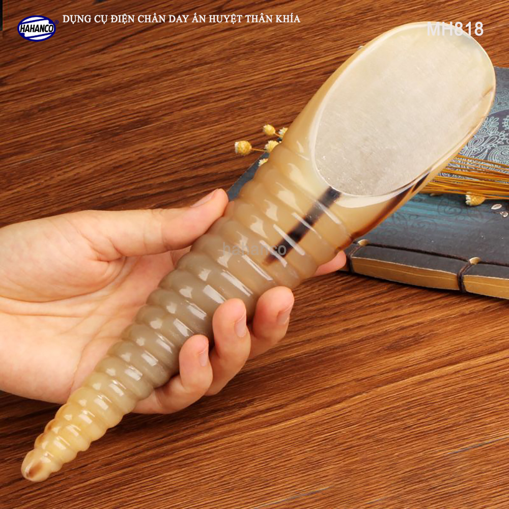Dụng cụ cạo gió /Điện chẩn /day ấn huyệt bằng chóp sừng thân khía massage toàn thân đa năng - Chăm sóc sức khỏe