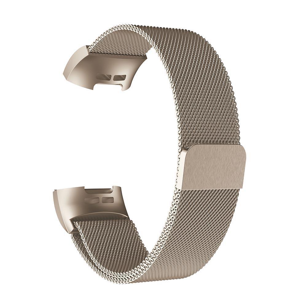 Dây đeo thay thế chất liệu kim loại dạng lưới cho Fitbit Charge 4/Charge 3