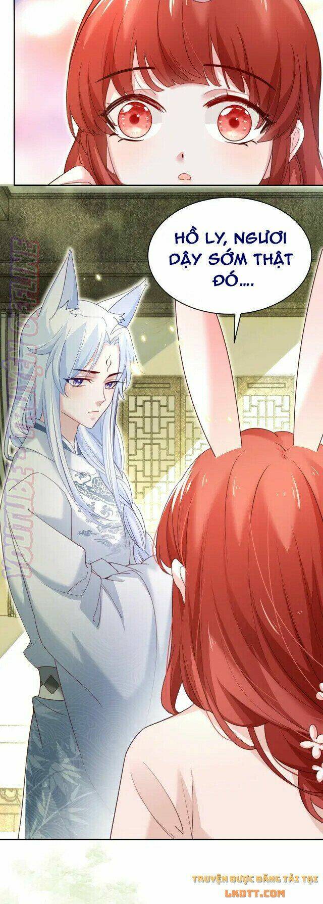 hắc hóa nam chính trực tuyến nuôi thỏ chapter 44 5