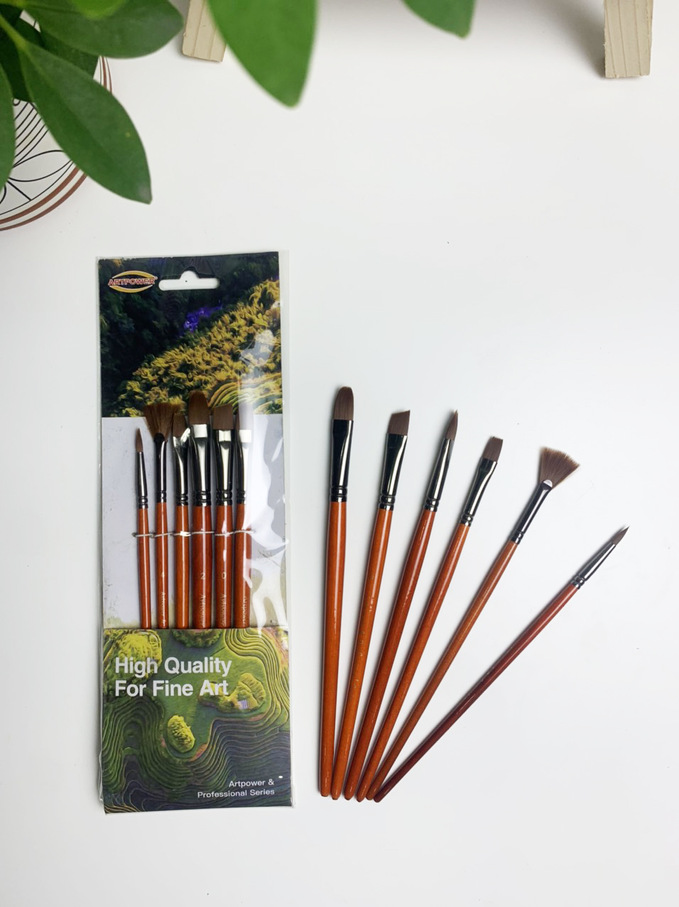 Bộ Cọ Đa Năng Art Brush 6 Cây