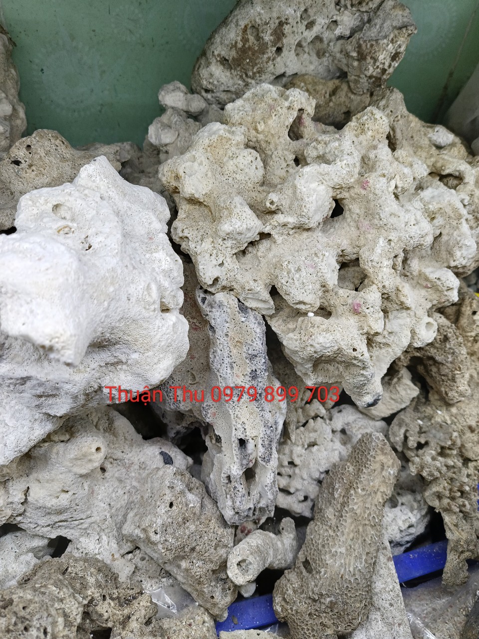 1kg Đá San Hô Dùng Làm Layout Cho Bể Nước Mặn