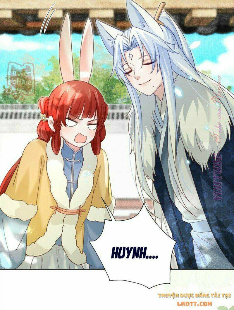 hắc hóa nam chính trực tuyến nuôi thỏ chapter 64 25