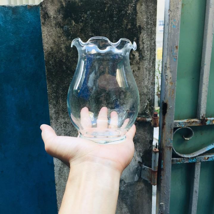 Chậu thủy tinh mini tai bèo , bể cá mini để bàn