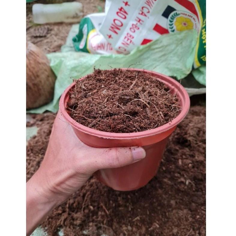 Đất trồng cây trộn sẵn