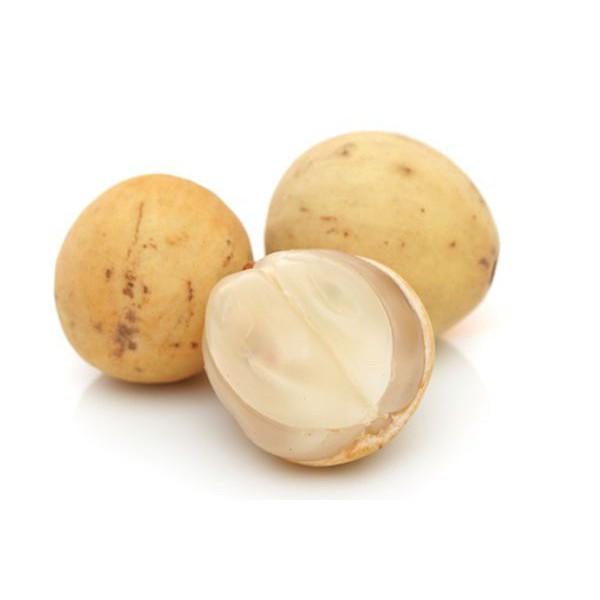 Cây giống Bòn Bon ghép .