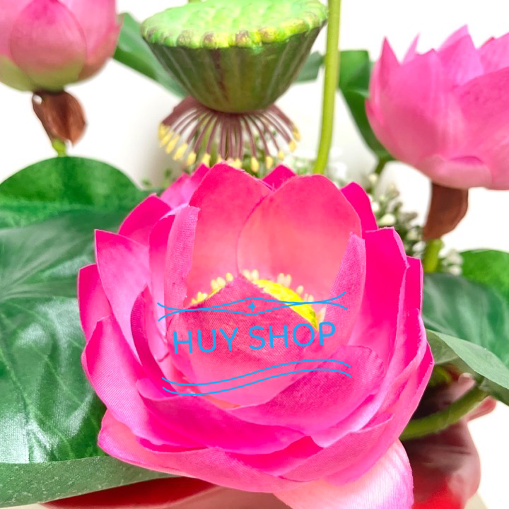 Chậu HOA SEN Vải cao cấp trang trí nhà cửa