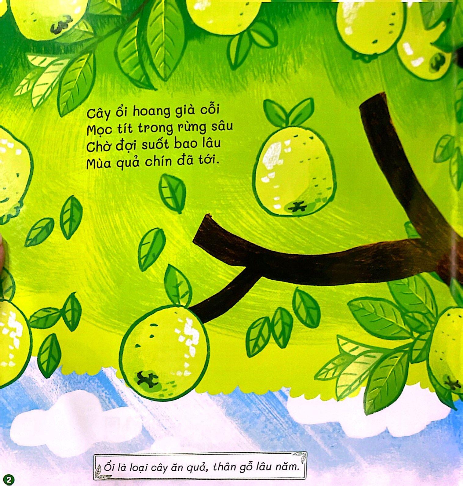 Vườn Ổi Chích Chòe (Dạy Con Gieo Mầm, Cùng Con Hái Quả)