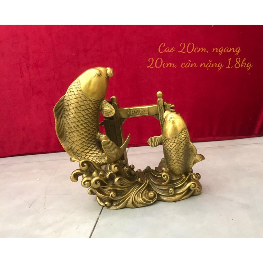 Cá chép vượt lâm môn bằng đồng vàng 1,8kg