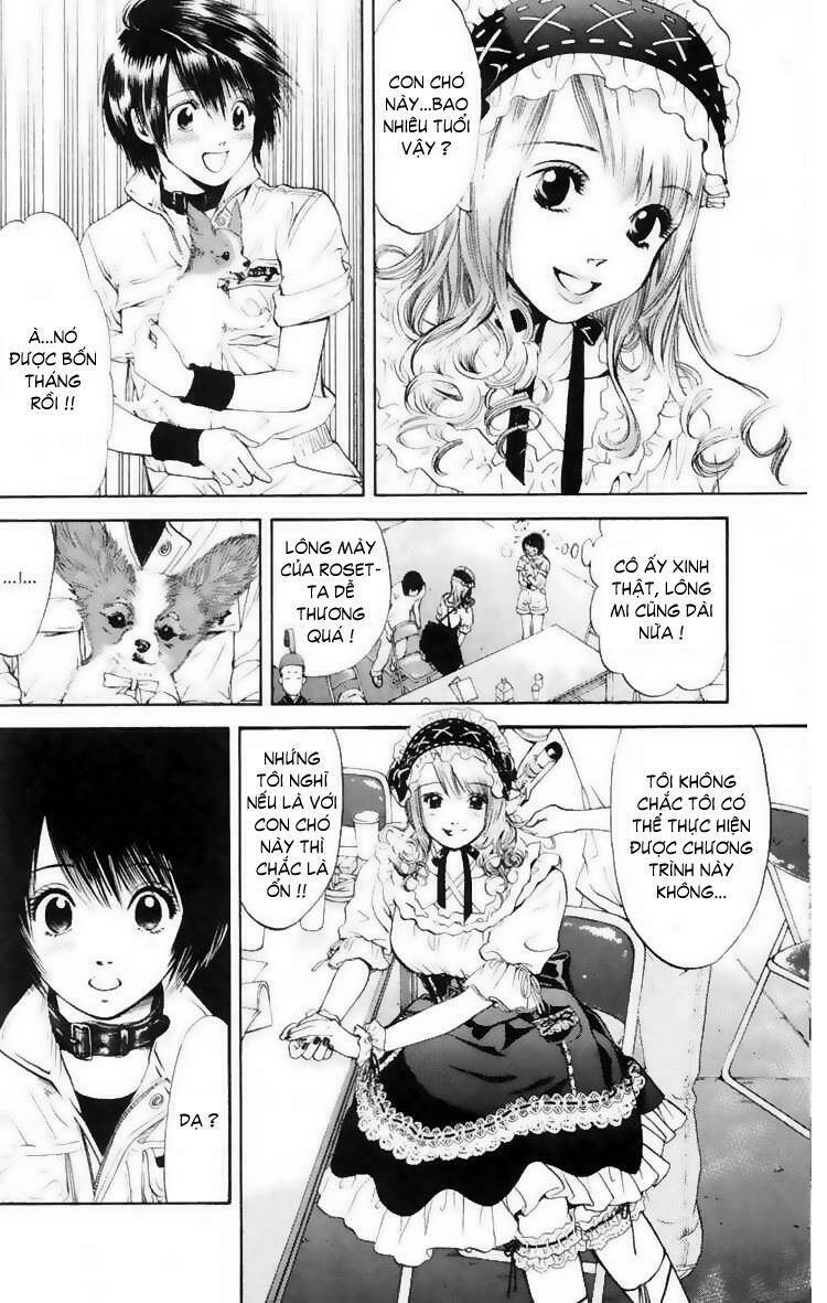 cô nàng yêu chó chapter 13 8