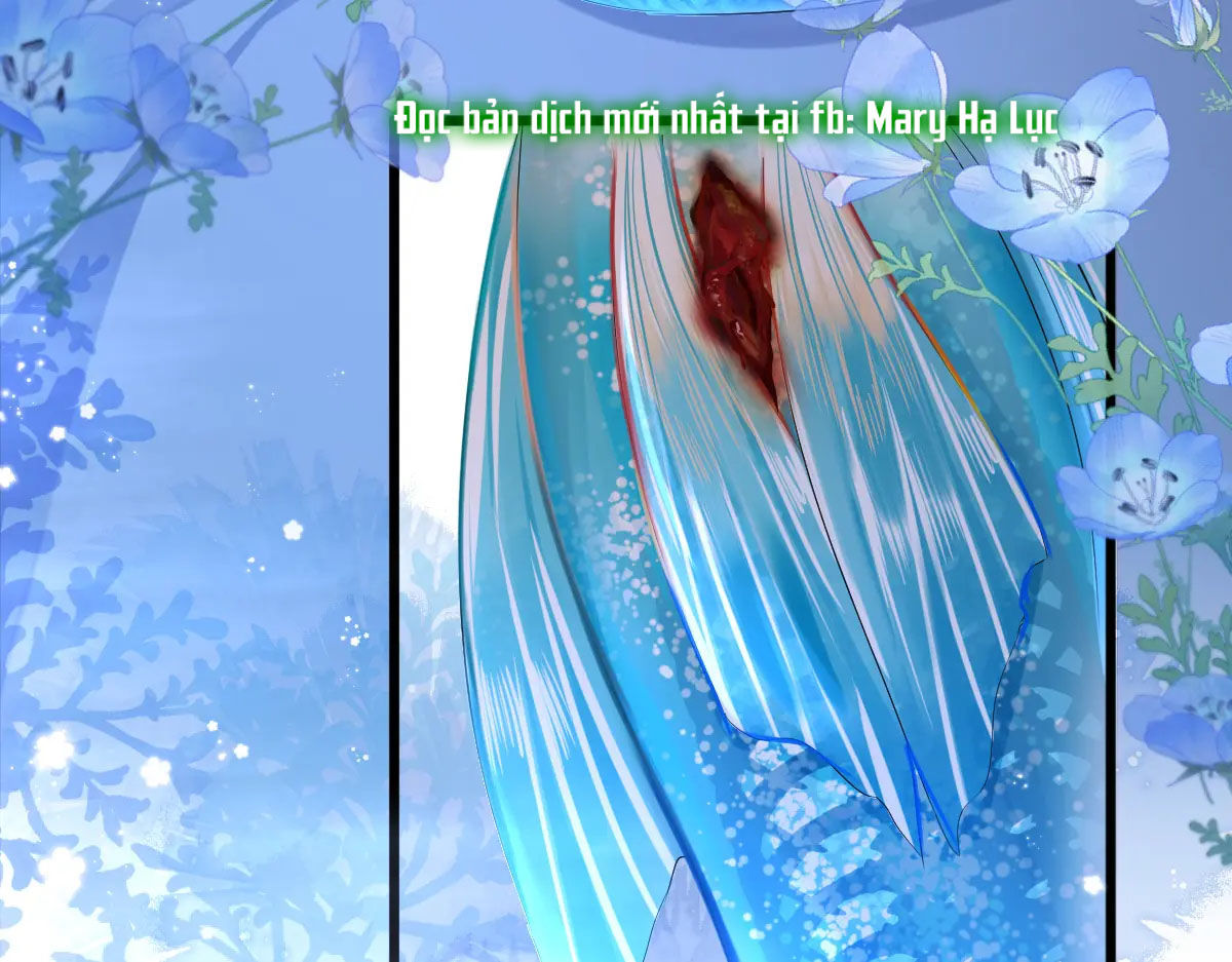 nhân ngư sa ngã chapter 28.1 25