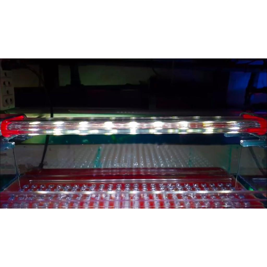 Đèn led máng dành cho bể thủy sinh 20cm, 30cm, 40cm, 50cm, 60cm
