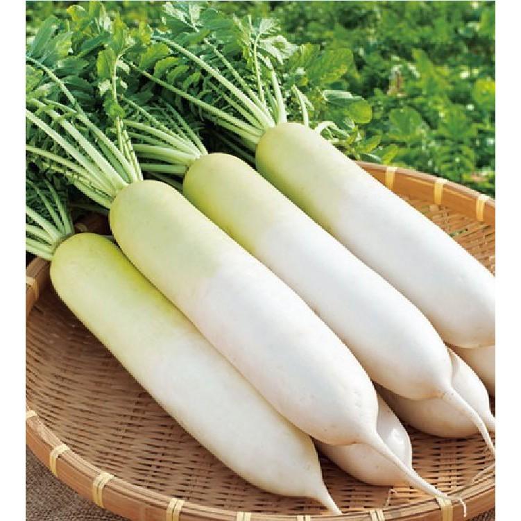 COMBO 2 gói hạt giống củ cải trắng