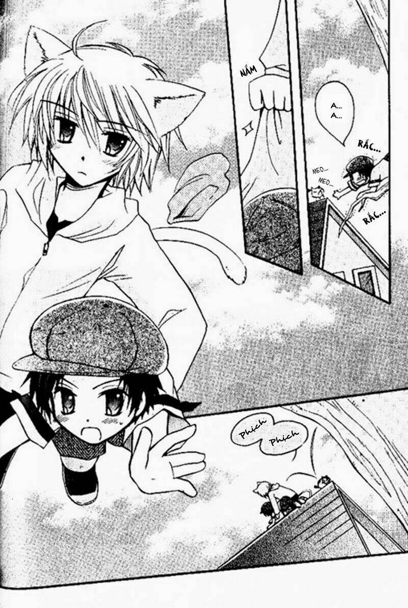 boku x neko? chapter 4 24